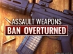 assault weapons