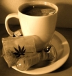 cannabis tea