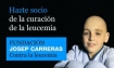 José Carreras Foundation