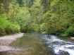 Millicoma River