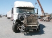 Semi truck that hit dozens of cows