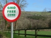 GMO banned here