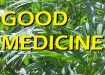 marijuana medicine