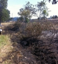 jefferson grass fire