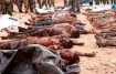 Tamils killed in Sri Lanka