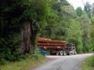 Log truck