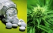 Medical marijuana vs prescription drugs