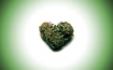 Marijuana is an Aphrodisiac