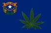 Nevada medical marijuana