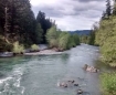 McKenzie River