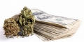 Marijuana Stock Busts