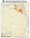 western tent caterpillars outbreak