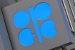 OPEC: Organization of the Petroleum Exporting Countries.