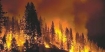 Oregon forest fire