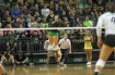 Oregon Ducks Volleyball 