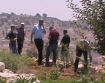 Settlers damaging Jaber`s garden