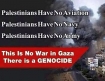 Palestine genocide