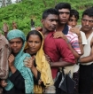 Rohingya