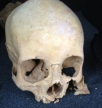 Human skulls found at a Salem, Oregon recycling center