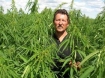 Paul Bobbee in a field of tall Ukrainian variety of industrial hemp