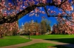 Willamette University