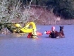 Horse trapped in pond