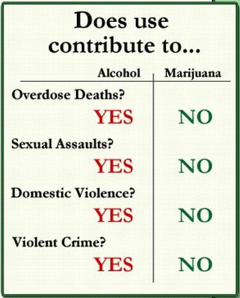 stoned vs. drunk driving