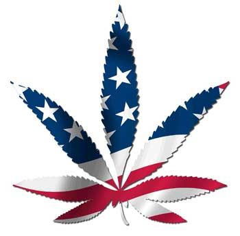 Marijuana leaf in red white and blue