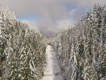 Oregon snow