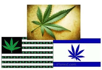 Pot in the US and Israel