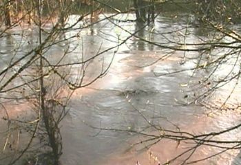 Flood in Oregon