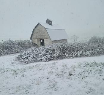 Oregon snow