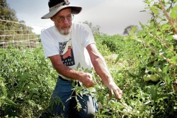 Farming in New Mexico