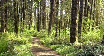 Oregon Parks Scenic Bikeway