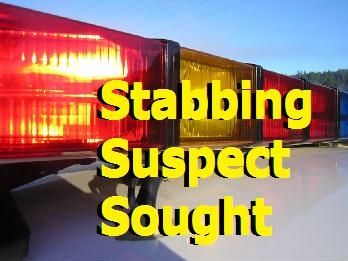 Stabbing suspect sought