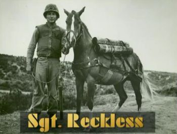 Sgt Reckless