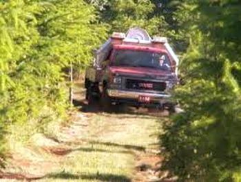 Lebanon Oregon Grass Fire