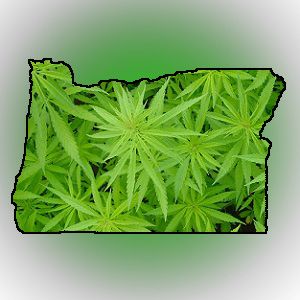 Oregon marijuana state