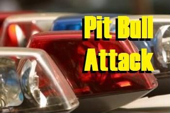 Pit bull attack