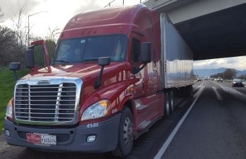 freightliner vs ped