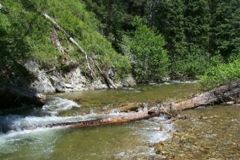 Little North Fork River