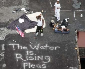 Katrina survivors