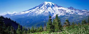 mountain climbers