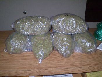 Six Pounds of Marijuana seized