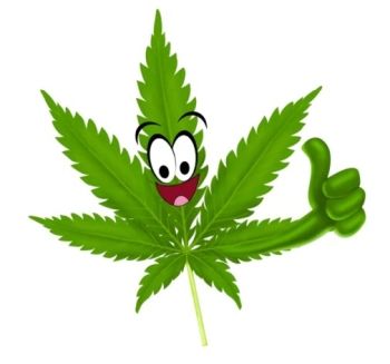 cannabis