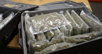 Nearly 23 pounds of Marijuana seized by OSP