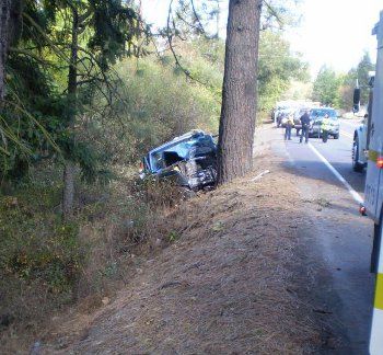 1984 ford tree crash