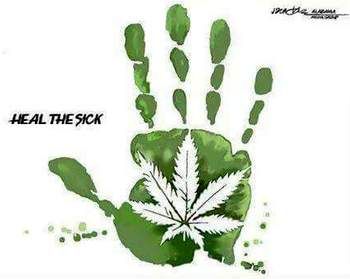 cannabis heals