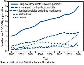 drug deaths