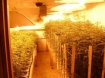 Marijuana growing operation